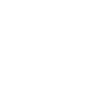 Icon Spotify